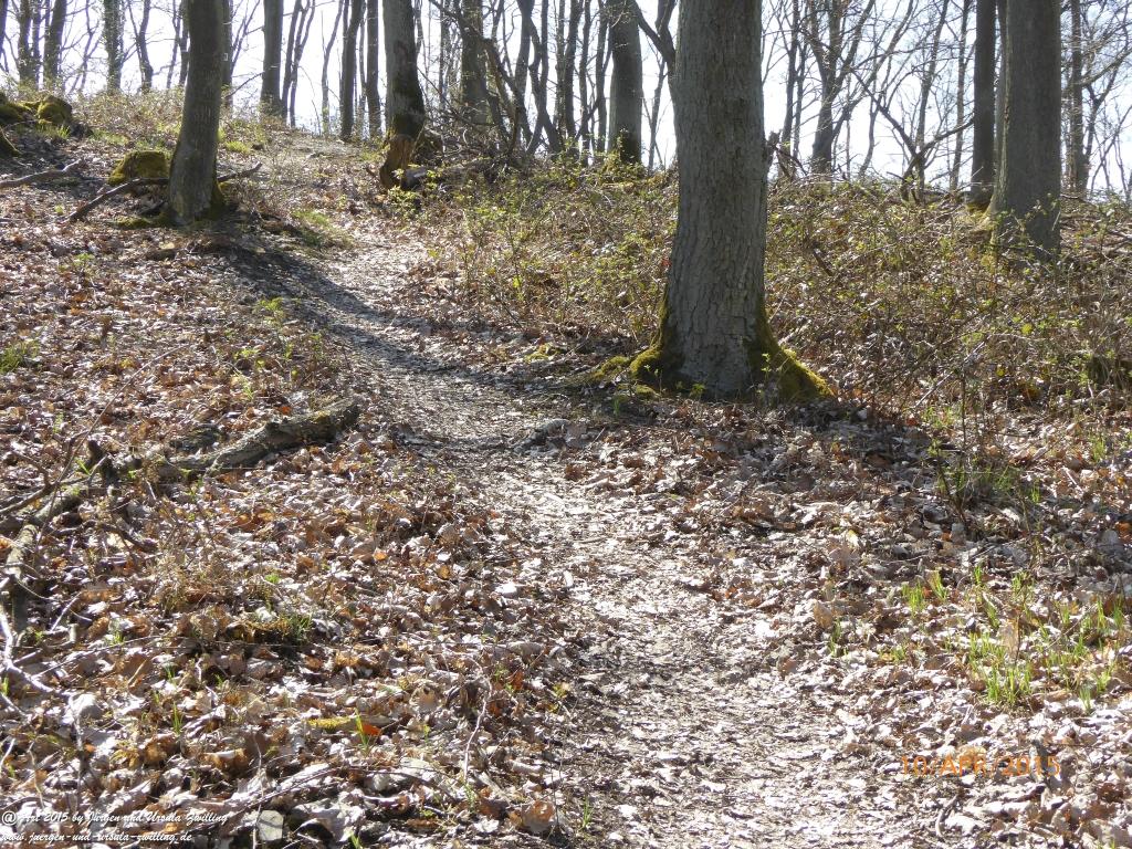 Philosophische Bildwanderung Traumschleife Rheingold