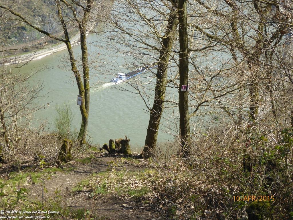 Philosophische Bildwanderung Traumschleife Rheingold