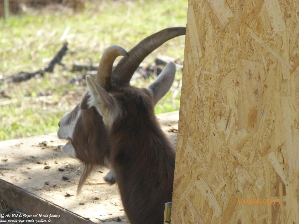 Philosophische Bildwanderung  Traumschleife Rheingold