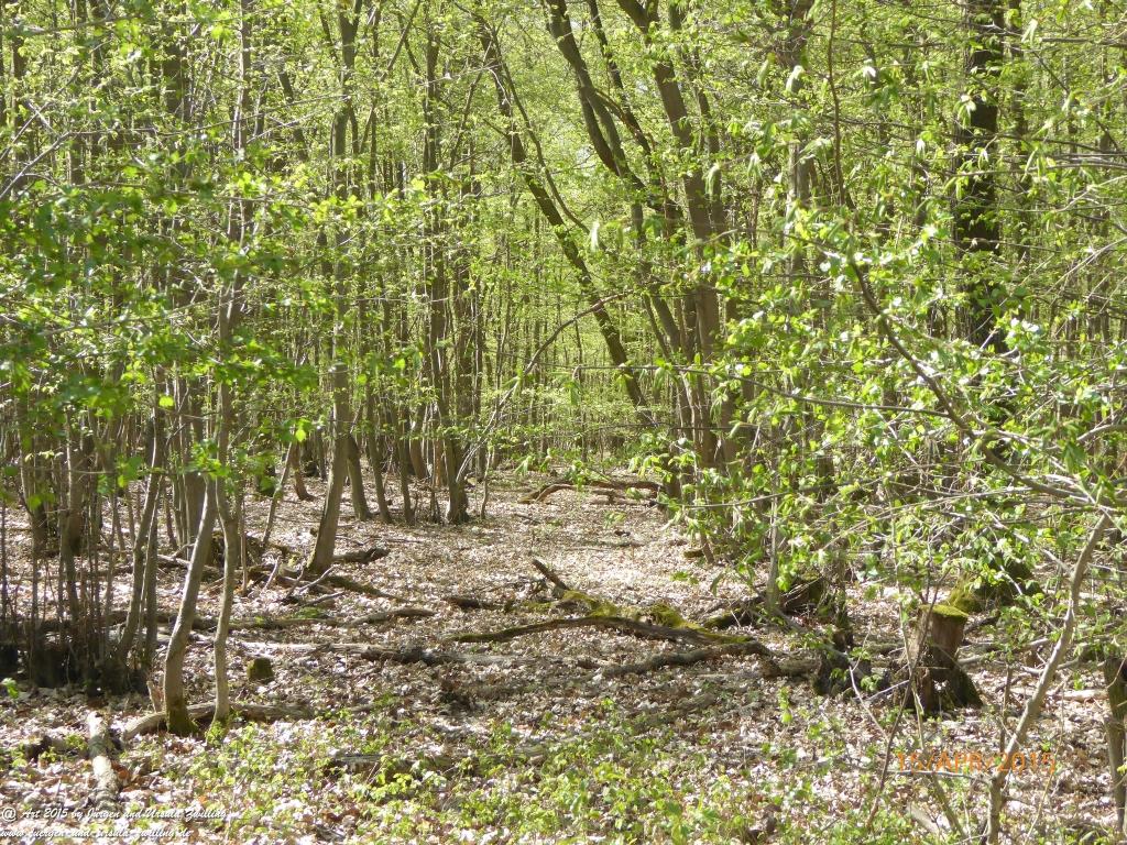 Philosophische Bildwanderung Kleiner-Mainzer-Höhenweg - Rheinhessen