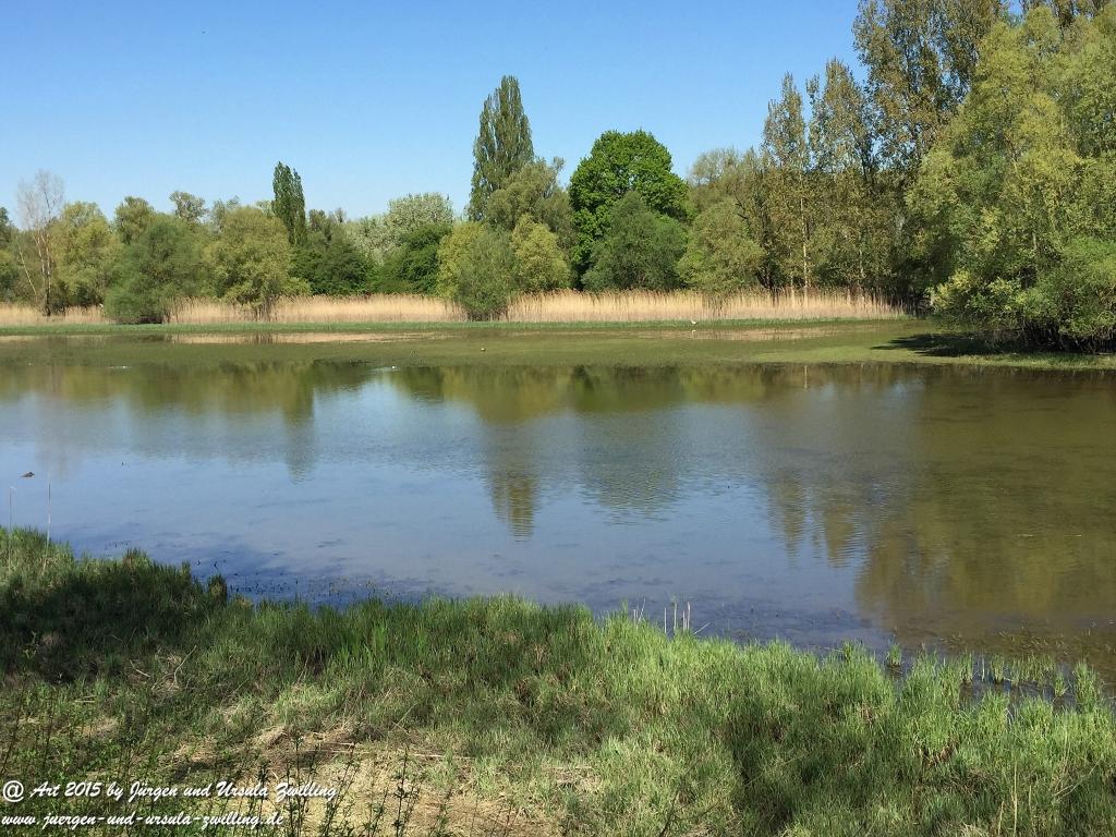 Philosophische Bildwanderung Kühkopf am Rhein