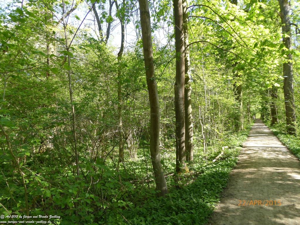 Philosophische Bildwanderung Kühkopf am Rhein