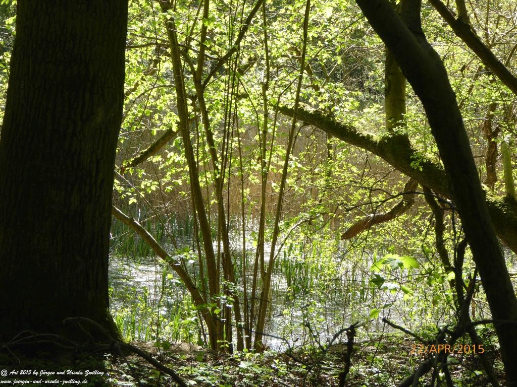 Philosophische Bildwanderung Kühkopf am Rhein