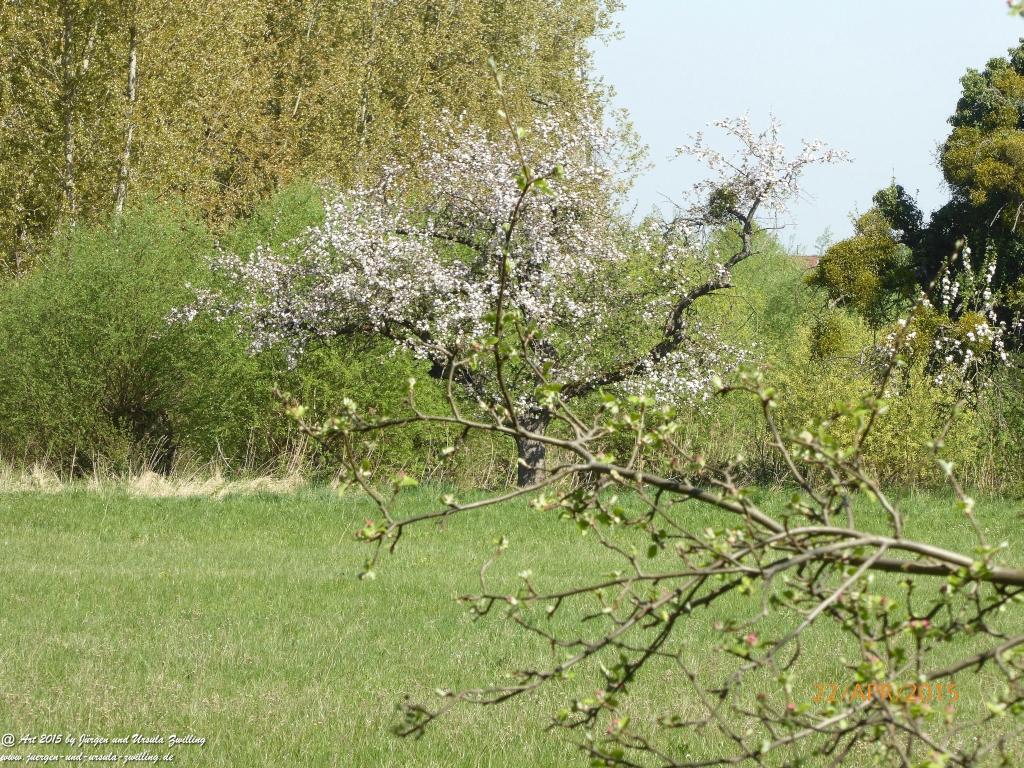 Philosophische Bildwanderung Kühkopf am Rhein