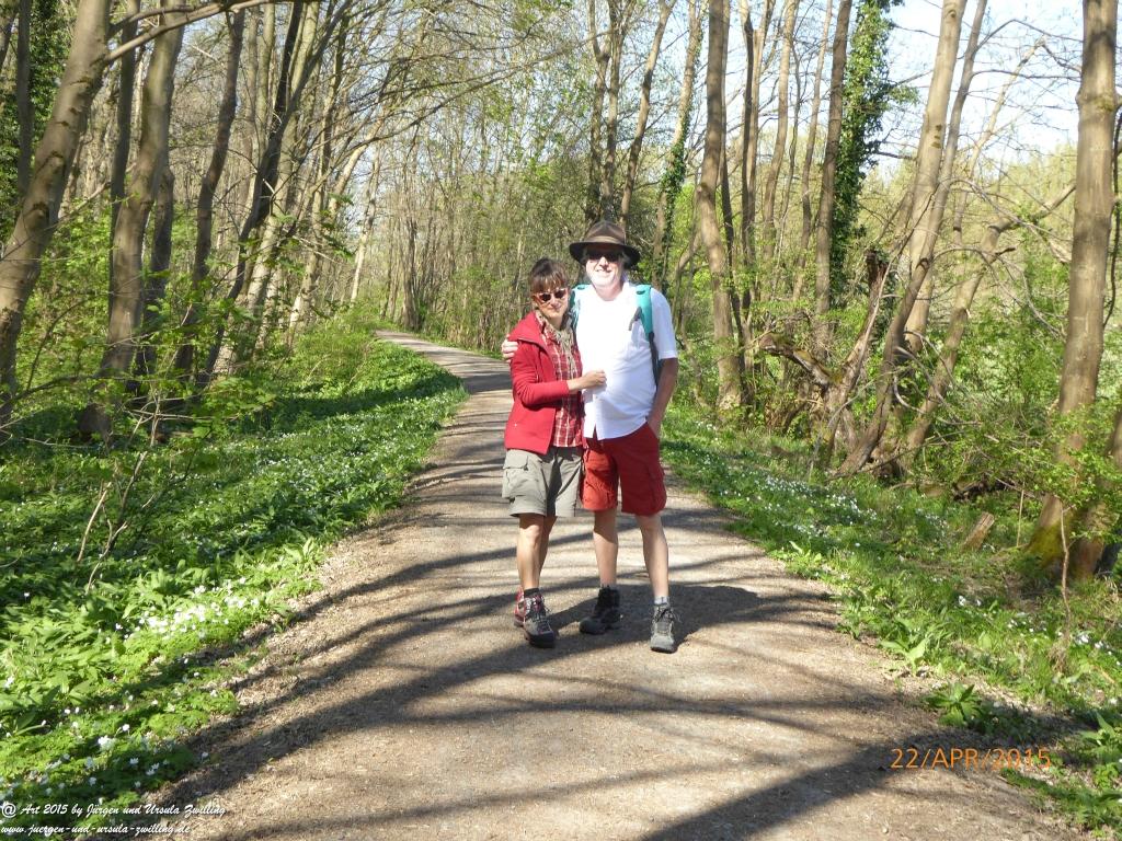 Philosophische Bildwanderung Kühkopf am Rhein