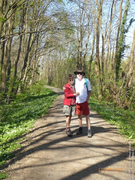 Philosophische Bildwanderung Kühkopf am Rhein