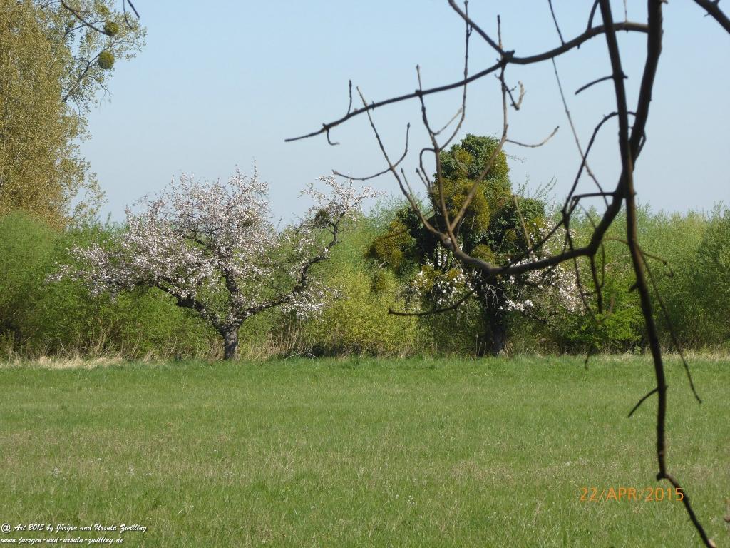 Philosophische Bildwanderung Kühkopf am Rhein