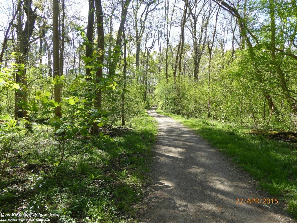 Philosophische Bildwanderung Kühkopf am Rhein