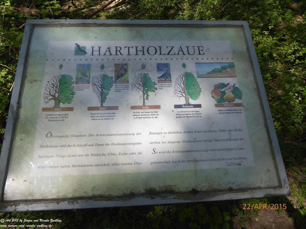 Philosophische Bildwanderung Kühkopf am Rhein