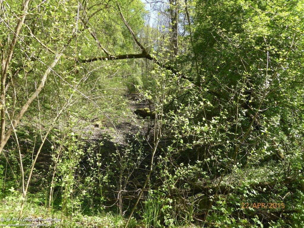 Philosophische Bildwanderung Kühkopf am Rhein