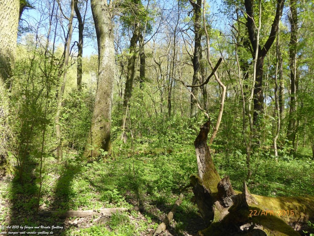 Philosophische Bildwanderung Kühkopf am Rhein