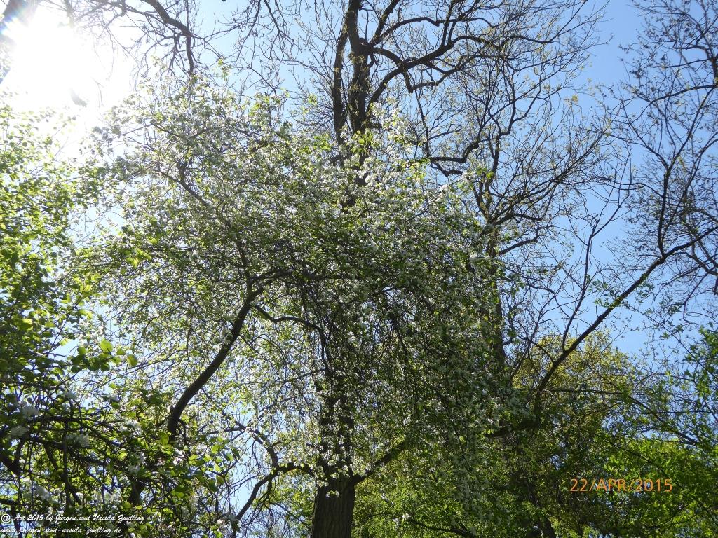 Philosophische Bildwanderung Kühkopf am Rhein