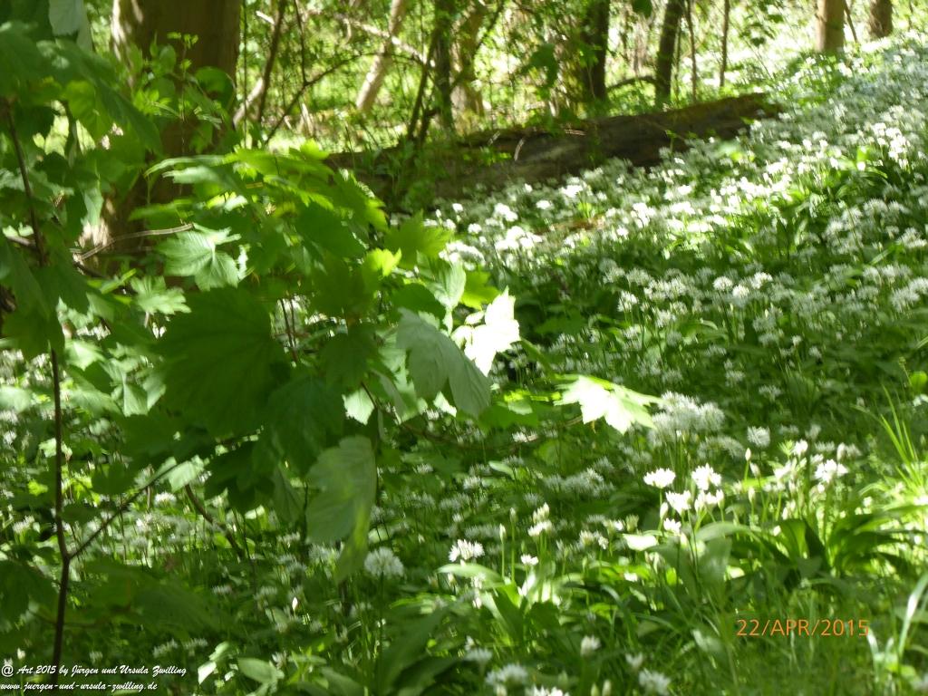 Philosophische Bildwanderung Kühkopf am Rhein