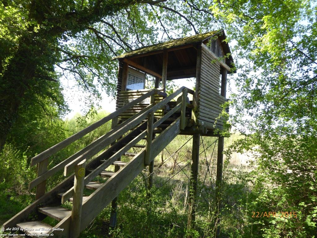 Philosophische Bildwanderung Kühkopf am Rhein