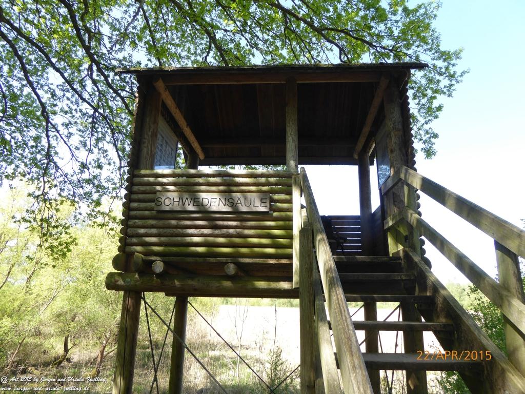 Philosophische Bildwanderung Kühkopf am Rhein