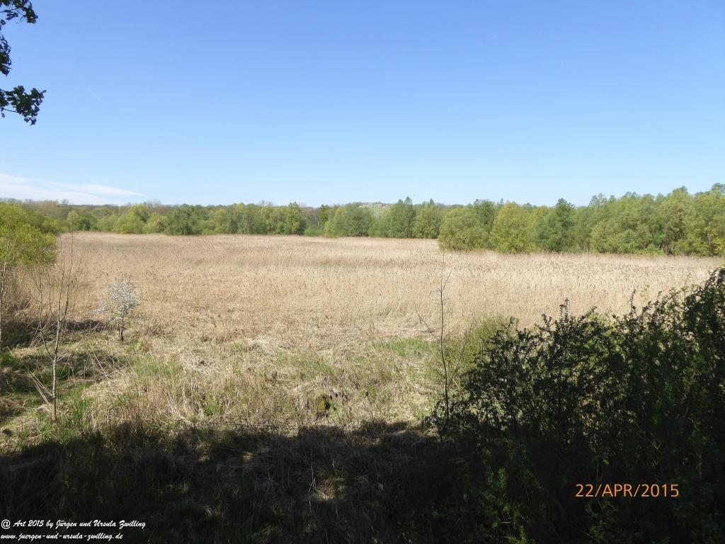 Philosophische Bildwanderung Kühkopf am Rhein