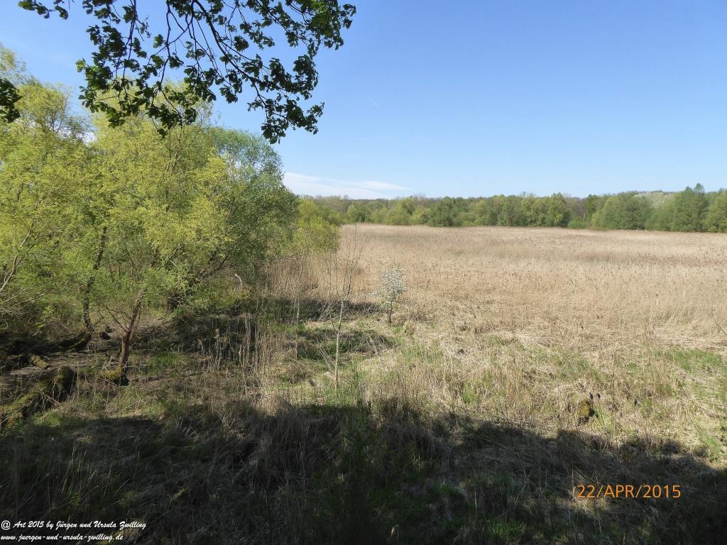 Philosophische Bildwanderung Kühkopf am Rhein