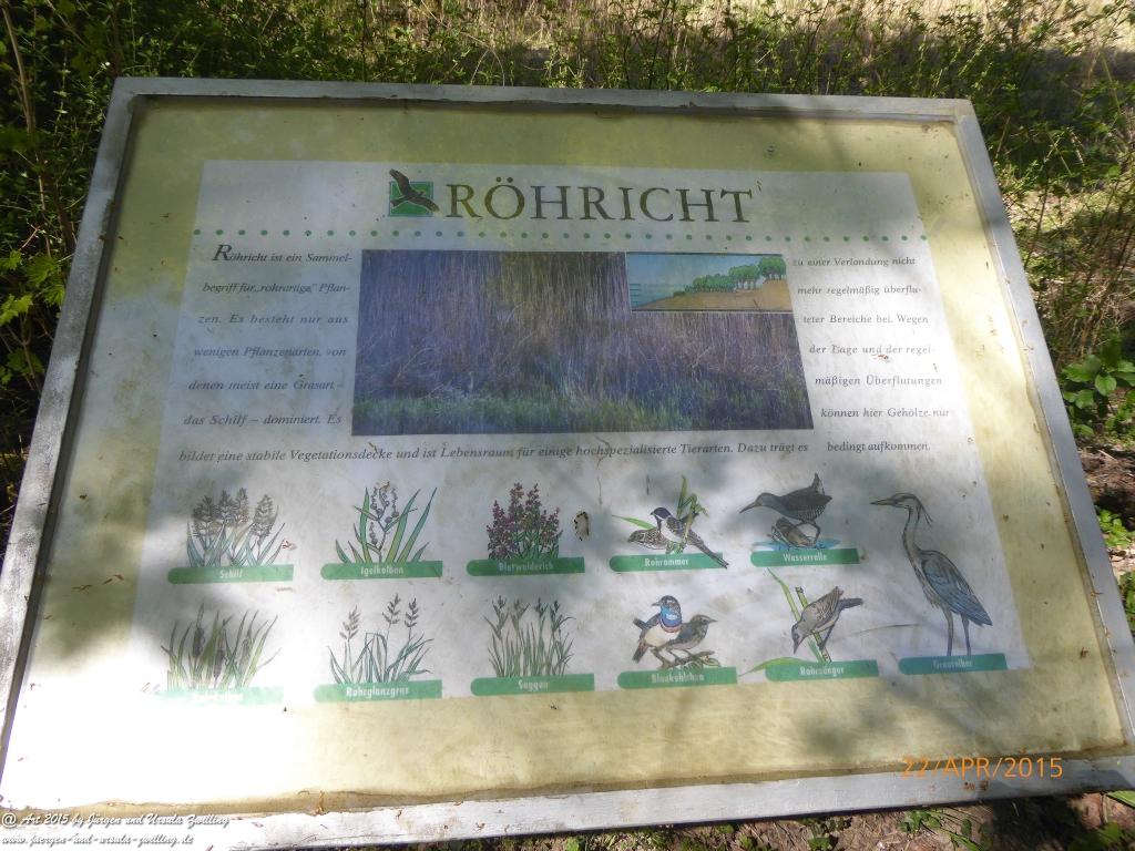 Philosophische Bildwanderung Kühkopf am Rhein