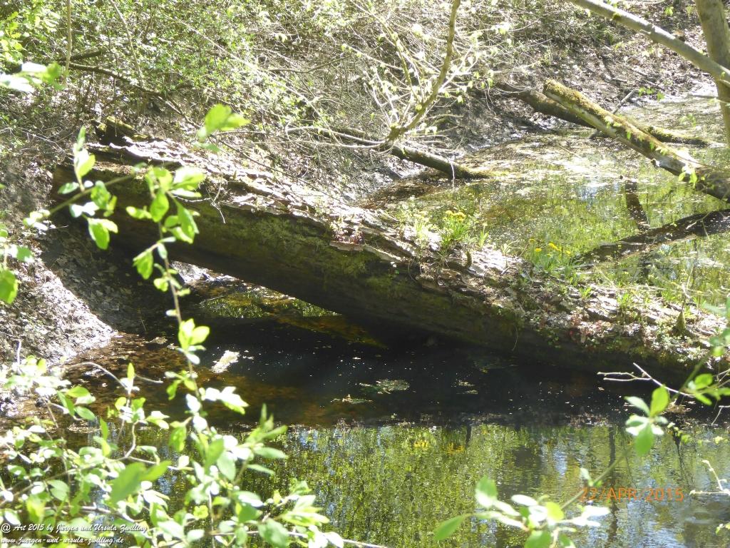 Philosophische Bildwanderung Kühkopf am Rhein