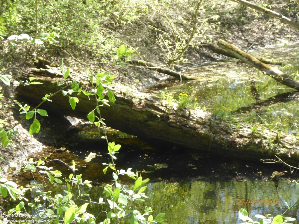 Philosophische Bildwanderung Kühkopf am Rhein