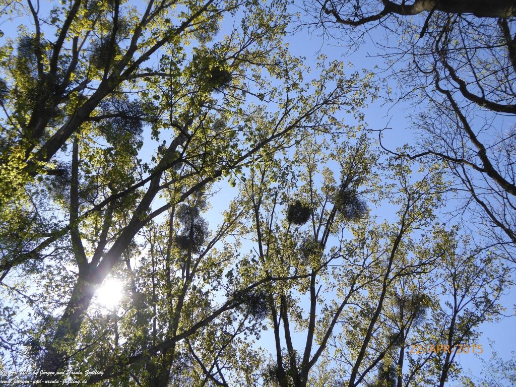 Philosophische Bildwanderung Kühkopf am Rhein