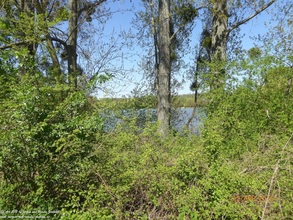 Philosophische Bildwanderung Kühkopf am Rhein