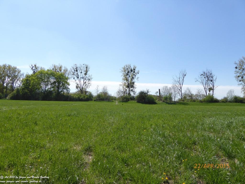 Philosophische Bildwanderung Kühkopf am Rhein