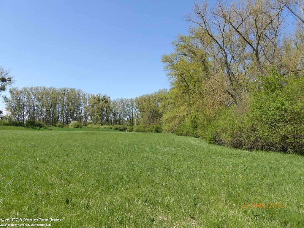 Philosophische Bildwanderung Kühkopf am Rhein