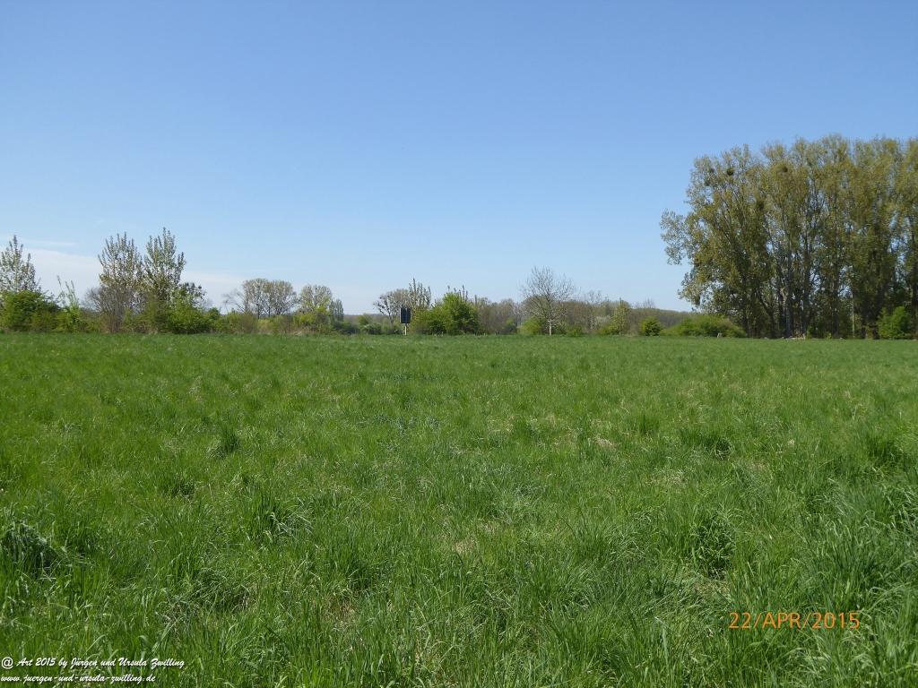 Philosophische Bildwanderung Kühkopf am Rhein