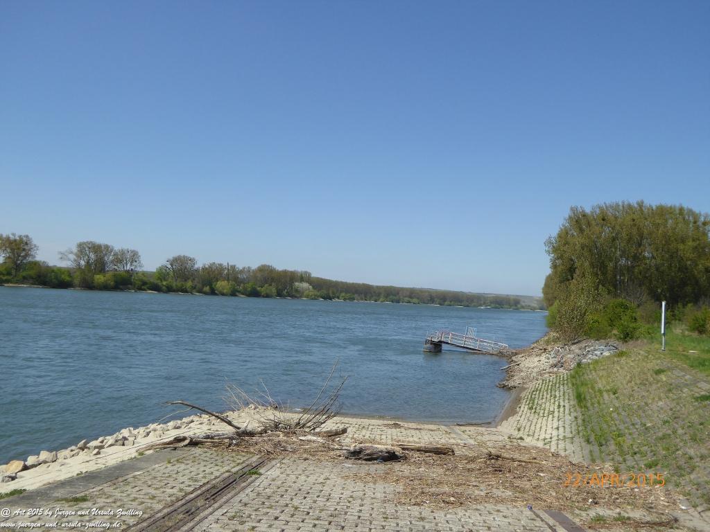 Philosophische Bildwanderung Kühkopf am Rhein