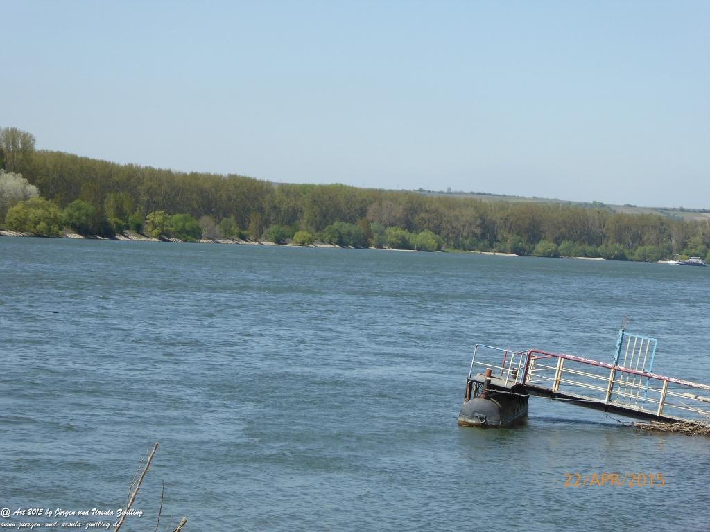 Philosophische Bildwanderung Kühkopf am Rhein