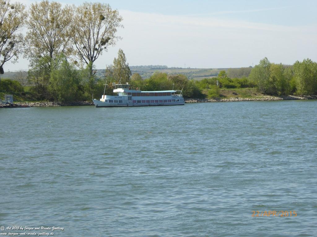 Philosophische Bildwanderung Kühkopf am Rhein