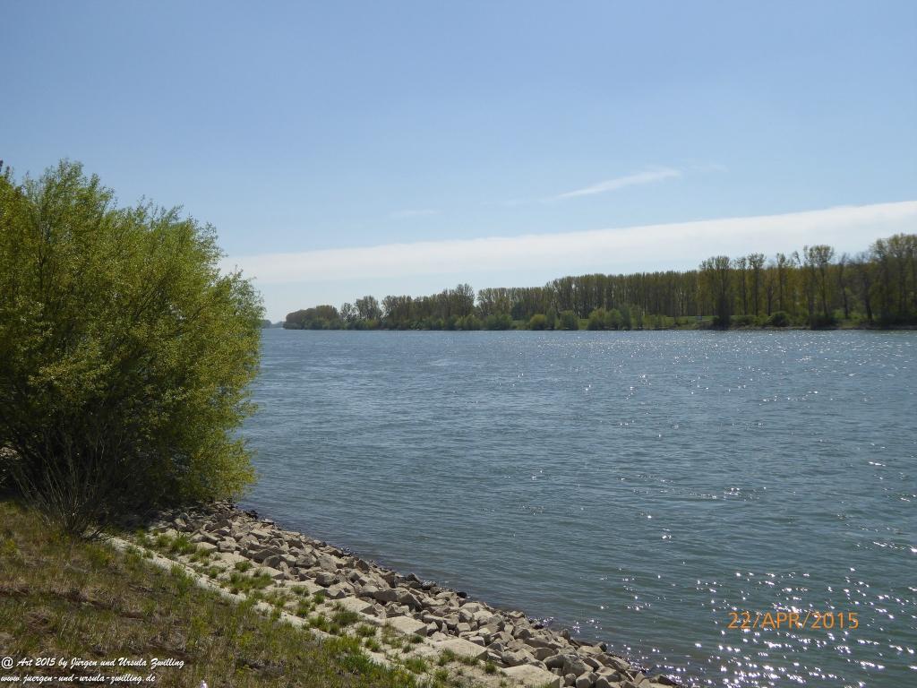 Philosophische Bildwanderung Kühkopf am Rhein