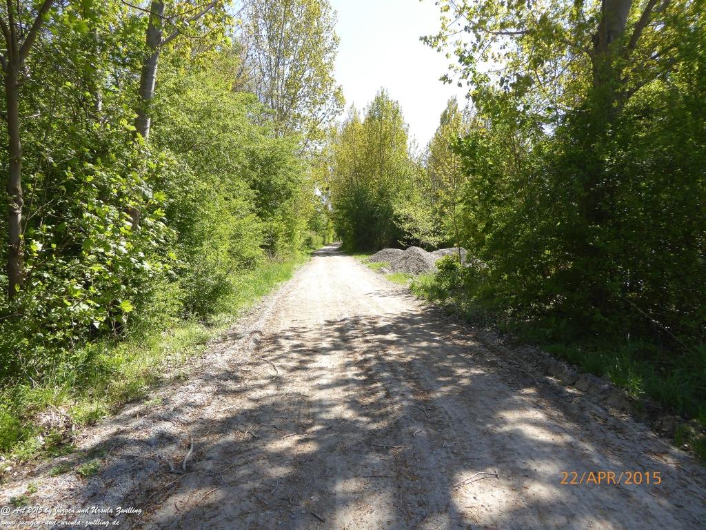 Philosophische Bildwanderung Kühkopf am Rhein