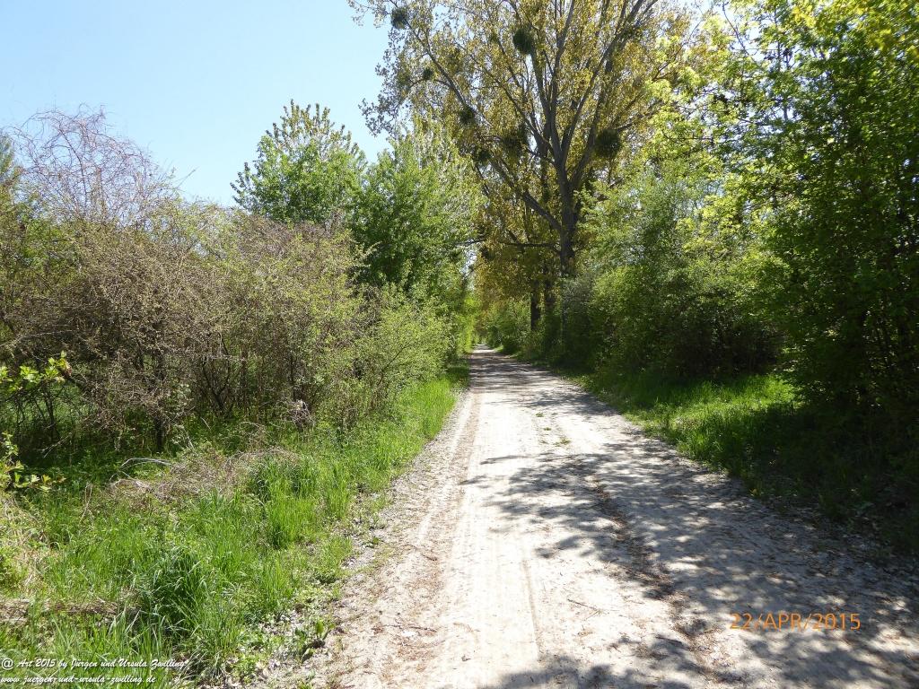 Philosophische Bildwanderung Kühkopf am Rhein