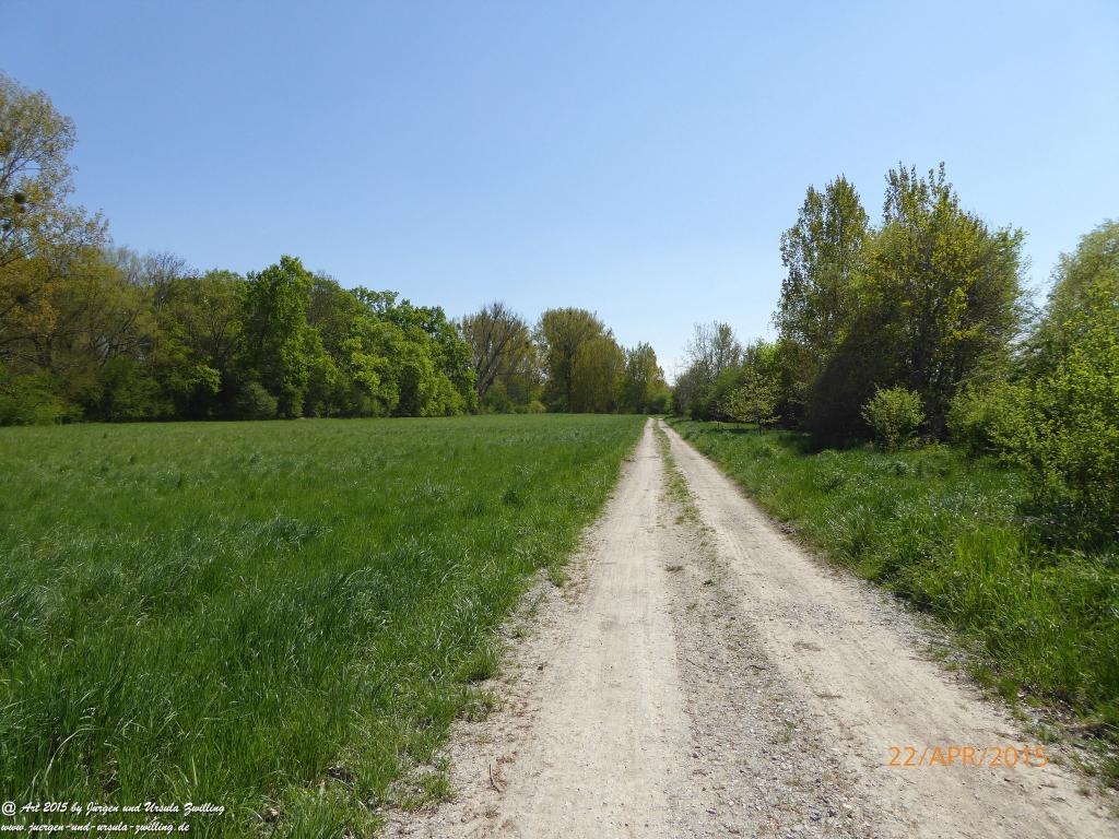 Philosophische Bildwanderung Kühkopf am Rhein