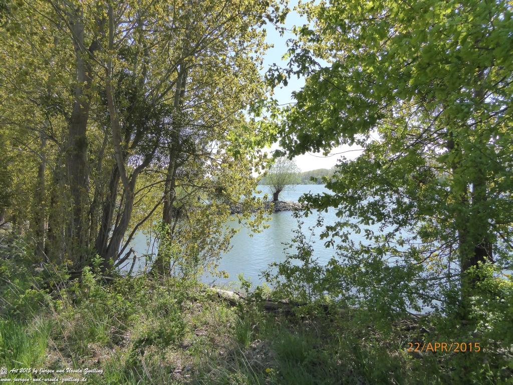 Philosophische Bildwanderung Kühkopf am Rhein