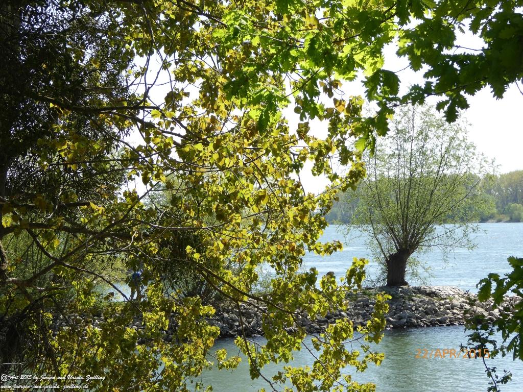 Philosophische Bildwanderung Kühkopf am Rhein