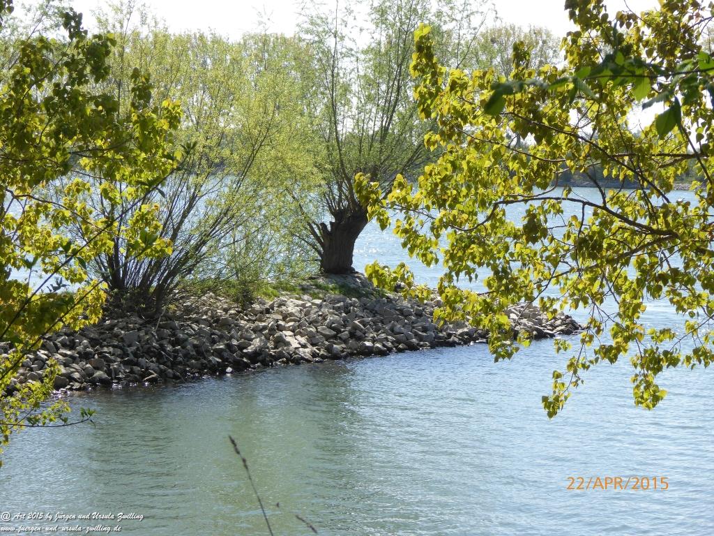 Philosophische Bildwanderung Kühkopf am Rhein