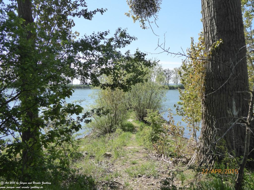 Philosophische Bildwanderung Kühkopf am Rhein