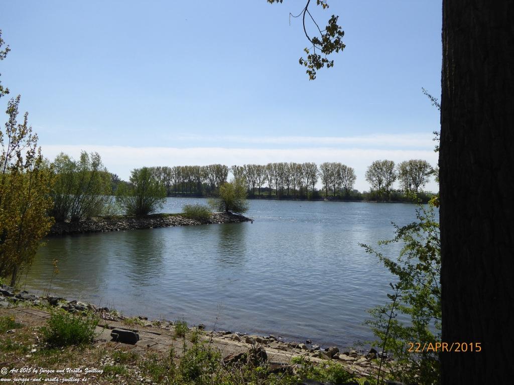 Philosophische Bildwanderung Kühkopf am Rhein