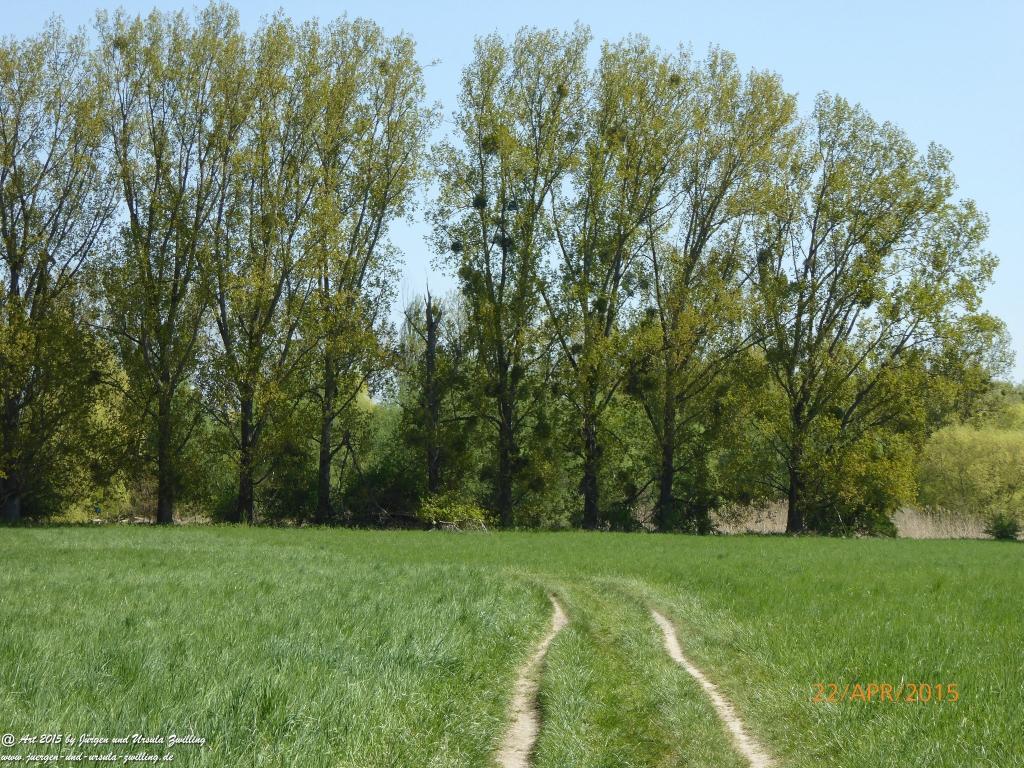 Philosophische Bildwanderung Kühkopf am Rhein