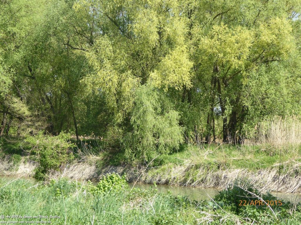 Philosophische Bildwanderung Kühkopf am Rhein