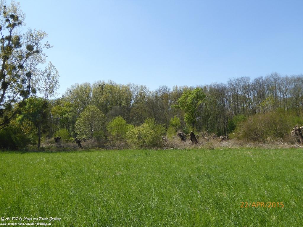 Philosophische Bildwanderung Kühkopf am Rhein