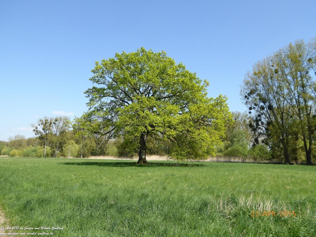 Philosophische Bildwanderung Kühkopf am Rhein