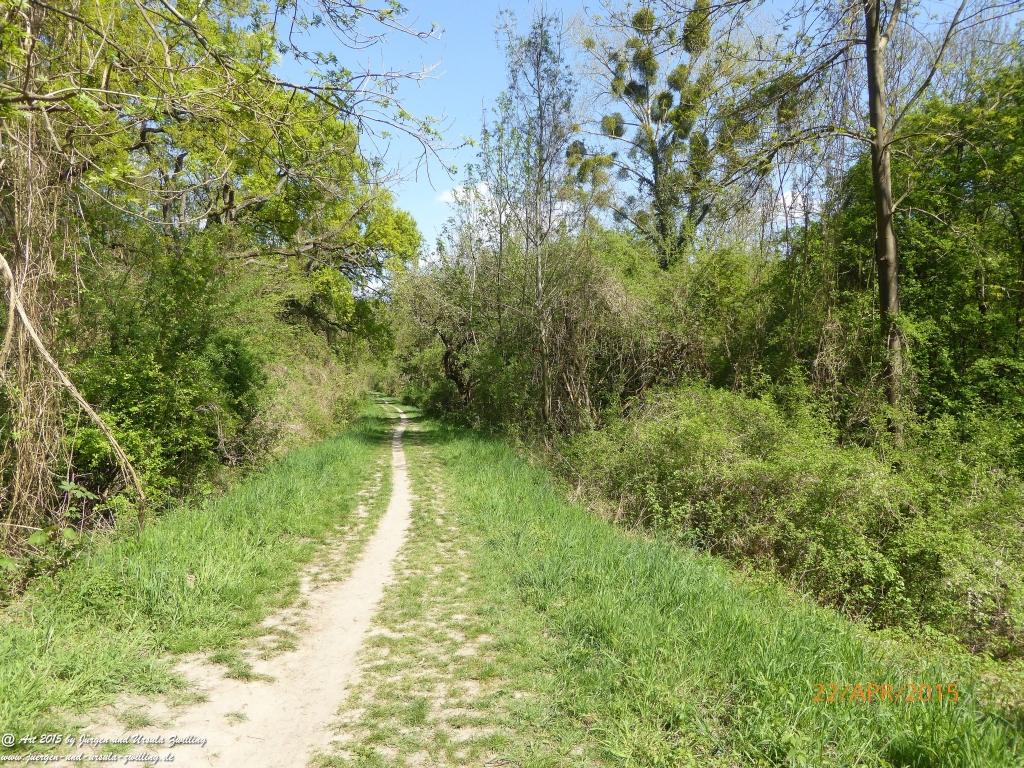 Philosophische Bildwanderung Kühkopf am Rhein