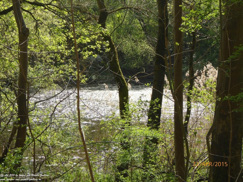 Philosophische Bildwanderung Kühkopf am Rhein