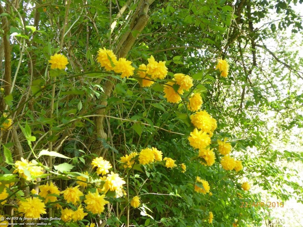 Philosophische Bildwanderung Kühkopf am Rhein