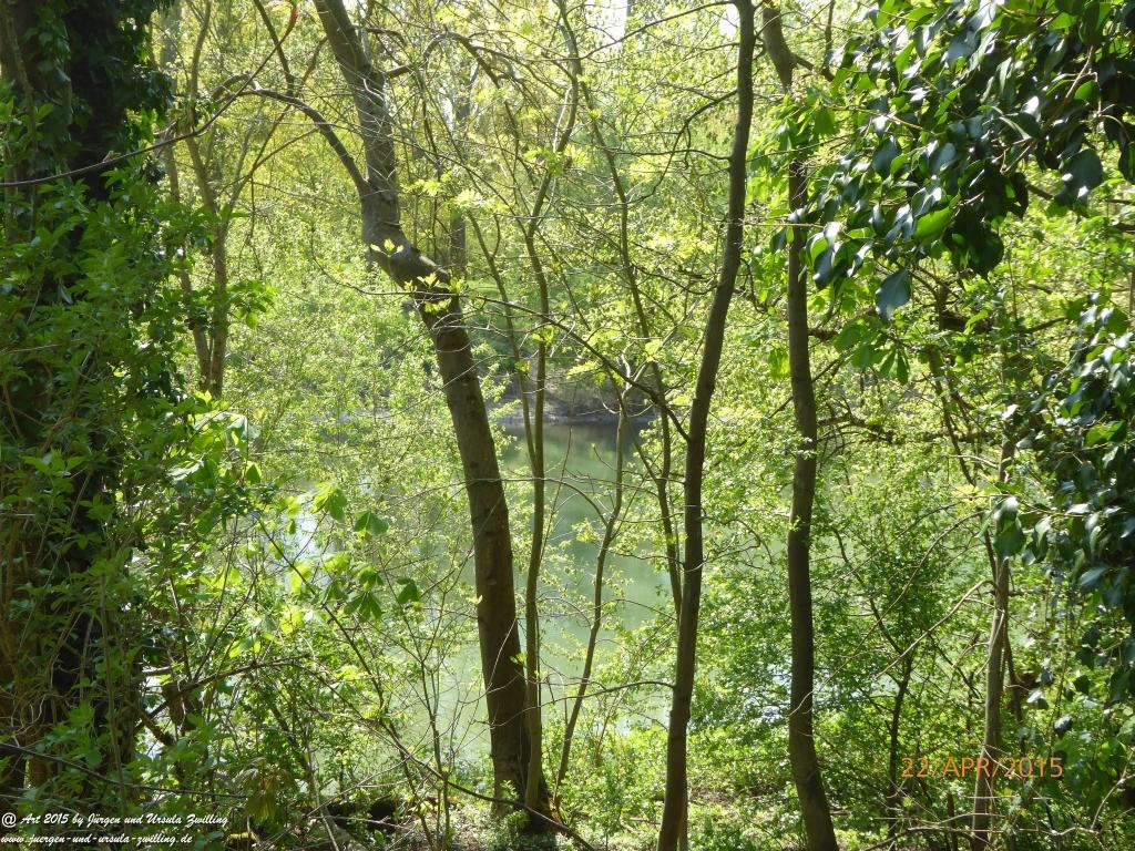 Philosophische Bildwanderung Kühkopf am Rhein