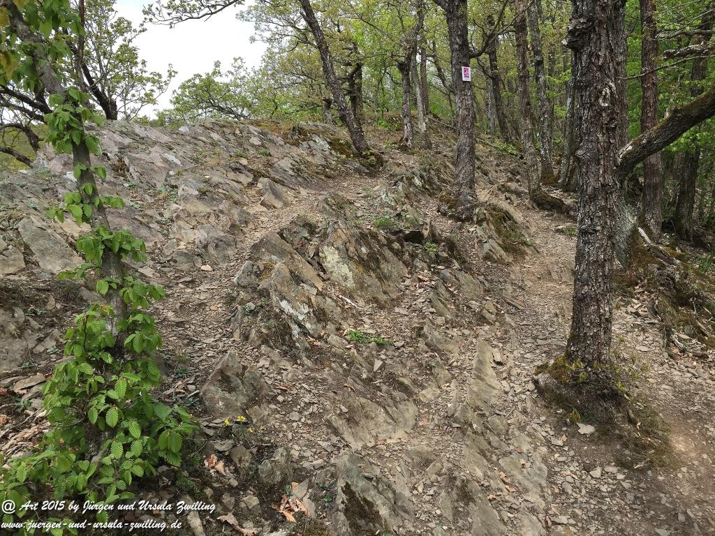 Philosophische Bildwanderung Murscher Eselsche - Hunsrück